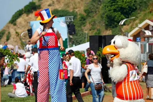 Palyaço ve Maskot Hizmetleri Piknik